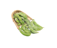 Fabriqué au Vietnam ISO standard bon marché prix Edamame entier congelé en parfait état 500g