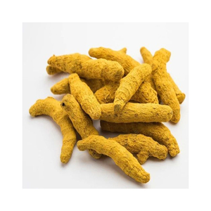 Doigts de curcuma abordables proposés aux grossistes et aux importateurs - Product Image 2