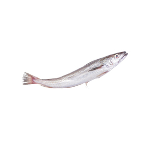 Pescado Hake Congelado a Granel, Precio Competitivo de Mercado - Product Image 4