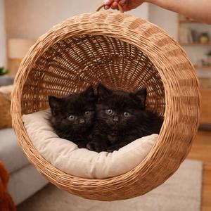 Cama para mascotas de ratán, duradera y hecha a mano, para accesorios de mascotas - Product Image 1