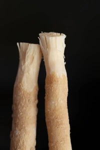 Bâtonnets de Miswak Naturels Purs pour l'Hygiène Buccale – Soin Dentaire Traditionnel à Base de Plantes pour Usage Quotidien - Product Image 3