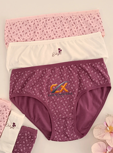 Usine OEM/ODM directe, culottes pour femmes 100% soie |   Lingerie en soie unie antibactérienne à marque privée en gros - Product Image 2