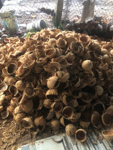 VigiFarm Coquilles de noix de coco 100 % naturelles, matière première durable en vrac du Vietnam pour biochar, poterie, décoration intérieure, modèle Tina - Product Image 4