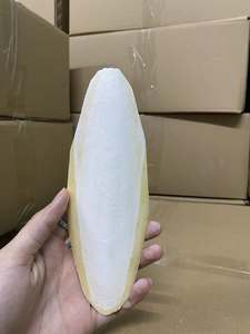 Os de Seiche Séché Entier 20-40cm Faible Teneur en Sel Supplément de Calcium Marin pour Animaux de Compagnie Qualité Supérieure Vietnam Durée de Conservation 2 Ans Boîte - Product Image 2