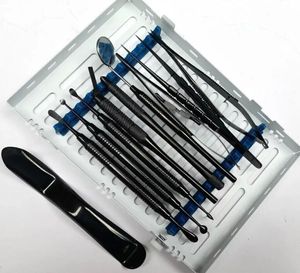Kit de Cirugía Oral Periodontal de 10 Piezas, Instrumentos Microquirúrgicos Dentales de Acero Inoxidable con Recubrimiento Negro, Grado Profesional Manual, CE - Product Image 3