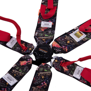 Premium FIA 8853 2016 Racing Safety Belt SPORT PLUS 5 <b>Pull</b> Up 6 Point Harness Custom Logo Color OEM ODM Manufacturing - Product Image 3