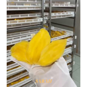 Mango Deshidratado 100% Natural, Sin Azúcar Añadido, Fruta Deshidratada, Apto para Veganos, Sin OMG, Snacks de Fruta Tropical Saludables, Exportación Global - Product Image 6