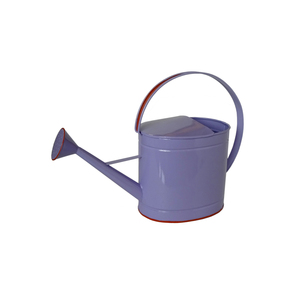 Arrosoir en fer personnalisé avec long bec pour des solutions d'arrosage élégantes des plantes - Product Image 5
