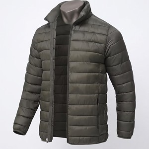 Veste d'hiver matelassée pour homme, col montant, fermeture éclair, rembourrage en polyester, coupe-vent, décontractée, couleur unie, coupe classique - Product Image 1