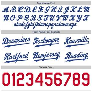 Athletic Basketball <b>Shorts</b> Men Mesh Training <b>Shorts</b> Breathable Quick Dry Eco-Friendly 100% <b>Polyester</b> Vintage Custom Team Bulk - Product Image 3