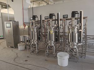 Fermentador Automático <span class=keywords><strong>de</strong></span> Acero Inoxidable 316L <span class=keywords><strong>de</strong></span> 150L, Biorreactor, Recipiente a Presión, Motor y Bomba para Cultivo <span class=keywords><strong>de</strong></span> E. Coli y Operón <span class=keywords><strong>de</strong></span> Lactosa - Product Image 5