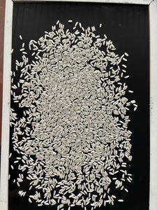 Arroz Blanco de Grano Largo Premium al por Mayor para Restaurantes, Venta al por Menor y Exportación con Granos Limpios y Excelente Sabor - Product Image 2