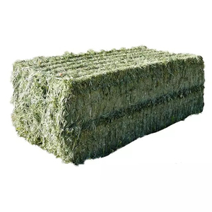 Heno de alfalfa curado al sol, rico en proteínas y fibra, ideal para alimentar animales de granja. - Product Image 3