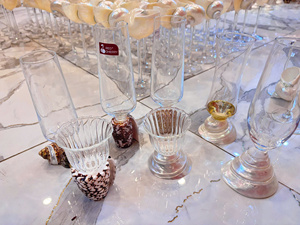 Verres à vin artisanaux vietnamiens écologiques en coquille de conque – Coupes à champagne en coquillage pour la remise des diplômes et le Nouvel An – Artisanat naturel - Product Image 1