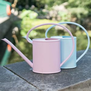 Arrosoir pour plantes d'intérieur, pot d'arrosage de jardin, carafe à eau, arrosoir pour plantes d'intérieur et d'extérieur, fleurs - Product Image 3
