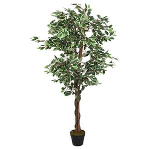 Arbre artificiel Ficus extra-haut avec troncs en bois vert - Product Image 1