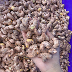 Factory Directly Vietnam Cashew <b>Nuts</b> Wholesale Ww180, Ww210 Premium Cashew <b>Nut</b> With Custom Packaging - Product Image 1