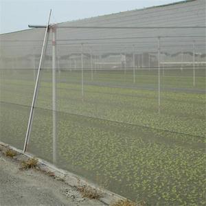 ตาข่ายพลาสติกสีเทาสำหรับป้องกันแมลงในโรงเรือน พร้อมบริการตัดตามขนาด - Product Image 1