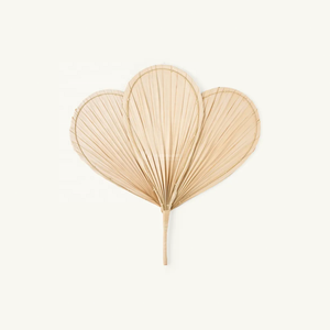 พัดติดผนังใบปาล์มทำมือ งานศิลปะตกแต่งผนังสไตล์ทรอปิคอลที่ยั่งยืน และสไตล์โบฮีเมียนธรรมชาติสำหรับตกแต่งบ้านและงานอีเว้นท์ - Product Image 2