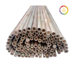 Poteaux en bambou durables pour la construction, le jardinage et la décoration intérieure, conçus pour s'intégrer parfaitement à n'importe quel espace extérieur. - Product Image 1