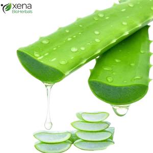 Gel de Aloe Vera 100% Natural Puro, Gel de Aloe Vera Orgánico al por Mayor, Etiqueta Privada, Proveedor OEM - Product Image 1