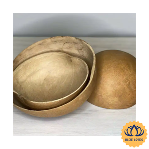 [AVAILABLE] Gourd Shell <b>Bowl</b> Durable Bohemian Design Eco-Friendly Lightweight Storage <b>Bowl</b> for Restaurant Catering <b>Snack</b> Holder - Product Image 1