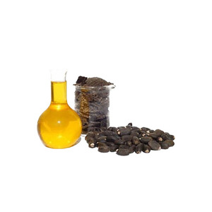 Semillas de Jatropha Secas, Cultivadas Silvestres, Envasadas en Tambor, para Exportación Mundial - Product Image 3
