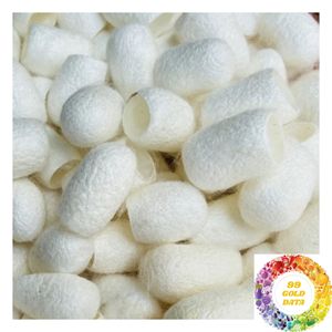 Capullos de Seda de Vietnam, Materia Prima Natural para la Fabricación Textil y Exportación de Hilos de Seda - Product Image 2