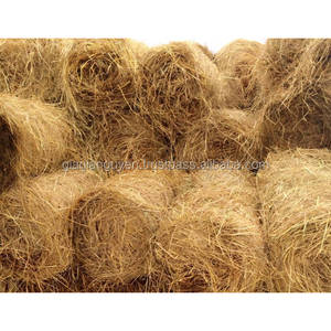 Forros de Paja de Arroz GIA GIA NGUYEN, Control de Humedad, Productos Agrícolas para Comederos de Animales, Vietnam - Product Image 4