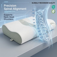 Oreiller de lit de récupération à technologie de pointe, design en S, garnissage 1110g, maille respirante, soutien cervical latéral, fabricant