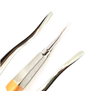 Elevadores Dentales Manuales Reutilizables de Acero Inoxidable Profesionales al por Mayor con Agarre Ergonómico - Product Image 1