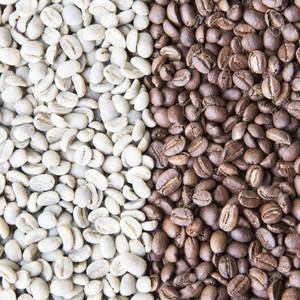 Fresh Roasted Coffee Supply Robusta Coffee Rich Flavor <b>Beans</b> Prepared For Wholesale Buyers With Flexible Packing Selections - Product Image 2
