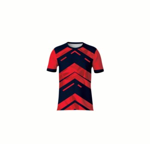 T-shirts en polyester de haute qualité pour sublimation, vierges, pour impression personnalisée, hommes, femmes, enfants, commandes en gros. - Product Image 1