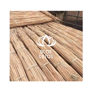 Bandes de rotin naturel directement de l'usine pour la fabrication de paniers, le mobilier, l'artisanat, la décoration intérieure et la création de objets artisanaux - Product Image 1