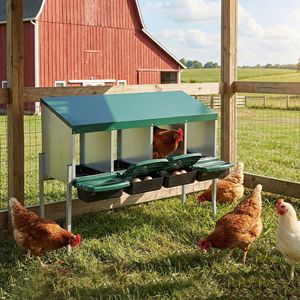 Nido per Galline in Metallo Resistente con Vassoio Rimovibile a 4 Fori e 4 Gambe per la Deposizione delle Uova - Product Image 4