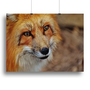 Fuchs <b>Canvas</b> Print or Poster Mouse Pads - Product Image 1