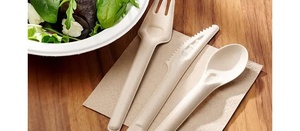 Wholesale 155mm Compostable Paper Spoon for Ice Cream <b>Dessert</b> Takeaway & Food Service Catering and Dood Delivery Spoon Use 2026 - Product Image 5