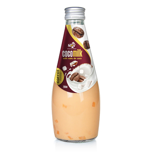 Bebida de Jugo de Frutas con Sabor a Sandía y Leche de Coco, en Botella de Vidrio de 290 ml, Etiqueta Privada, OEM, ODM, Suministro al por Mayor, 30% de Pureza - Product Image 3