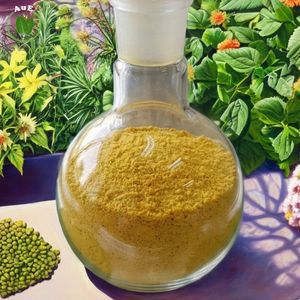 Highly Recommended AuE Thai Herbal MIT 80% Leaf Extract Powder Solvent Extracted Pharmaceutical Grade Vacuum Packed - Product Image 5