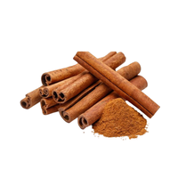 Bâtons de cannelle de Ceylan aromatiques biologiques qualité supérieure frais directement d'Indonésie prix de gros produit agricole