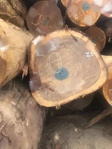 Vigas de Madera LVL de Pino de Primera Clase, Estructurales, de Alta Resistencia y Estabilidad, para Uso en Interiores E0, para Construcción - Product Image 5