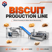 Ligne de production de biscuits TG, zone de cuisson à contrôle de température indépendant par sections, équipement compact pour les startups de taille moyenne