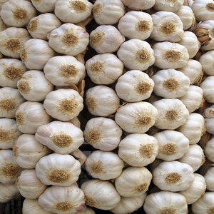 Ajo Pelado Blanco Puro Fresco Orgánico Premium |   Bulbos de Ajo de Grado Alimenticio para Cocinar |   Duración de Caducidad: 6 Meses |   Al por Mayor |   5.5 cm |   5 kg - Product Image 5