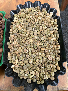 Grains de café vert Robusta de haute qualité, certifiés, de première qualité, équitablement commercialisés, propres, secs et transformés, Gia Lai Vietnam S18, sac de 60 kg - Product Image 5
