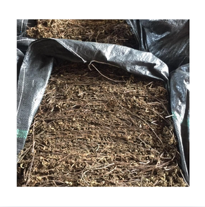Hojas de Hierba Negra Secas de Alta Calidad, 70% Hojas, 30% Tallos, para Postre Asiático Tradicional y Té Refrescante, Estándar de Exportación - Product Image 1