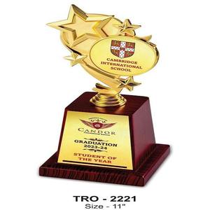Trofeo de Estrella de Metal Grabado Personalizado de Alta Calidad con Base de Madera para Reconocimiento Corporativo Disponible a Precio de Fábrica - Product Image 3
