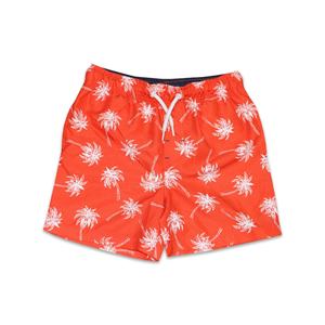 Shorts décontractés populaires 2026 pour garçons, pantalons cinq-quarts de fitness, shorts de plage à séchage rapide, vente en gros - Product Image 1
