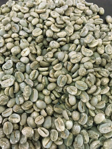 Grains de café vert Arabica biologiques USDA, taille 16, grade A A+, 1000 kg, du Vietnam, avec 0,1 % de brisures noires, fournisseur exportateur en gros - Product Image 3