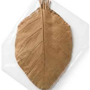 Feuilles de teck séchées naturelles de 26-30 cm / 10 à 11 pouces pour aquarium, lot de 24 feuilles - Product Image 1