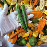 HOT ITEM: Gemengde groente- en fruitchips VF Gedroogde groenten en fruit Knapperige droge mix Bulkverpakking Vietnam Fabriek